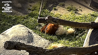 San Diego Zoo