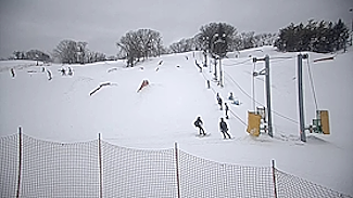 Three Rivers Parks