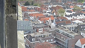 Slechtvalken O.L.V. Toren