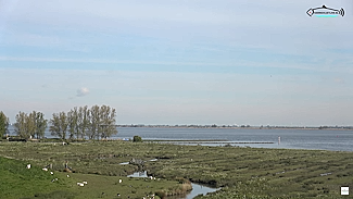Haringvliet