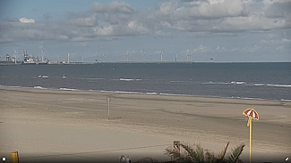 Dutch Surf Academy