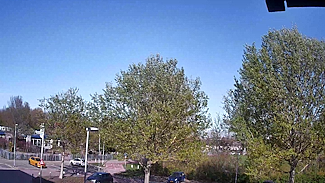 Meteo Julianadorp