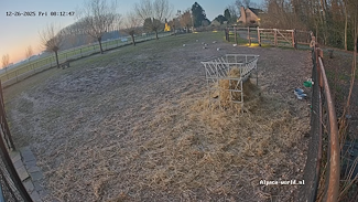 Alpaca World