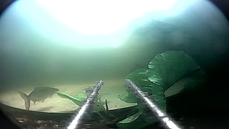 Onder water