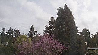 Weerstation