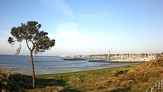Dellewalbaai