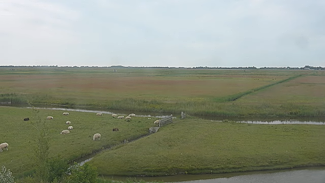 Natuur Waal en Burg